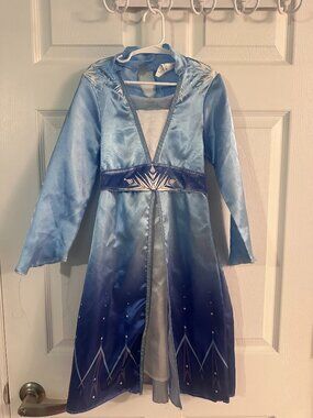 Frozen 2 Elsa Costume